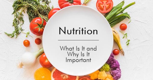 KMTC Principles of Human Nutrition Notes pdf